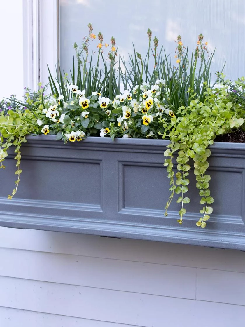 Fairfield Self-Watering Window Box, 3’ - Image 4
