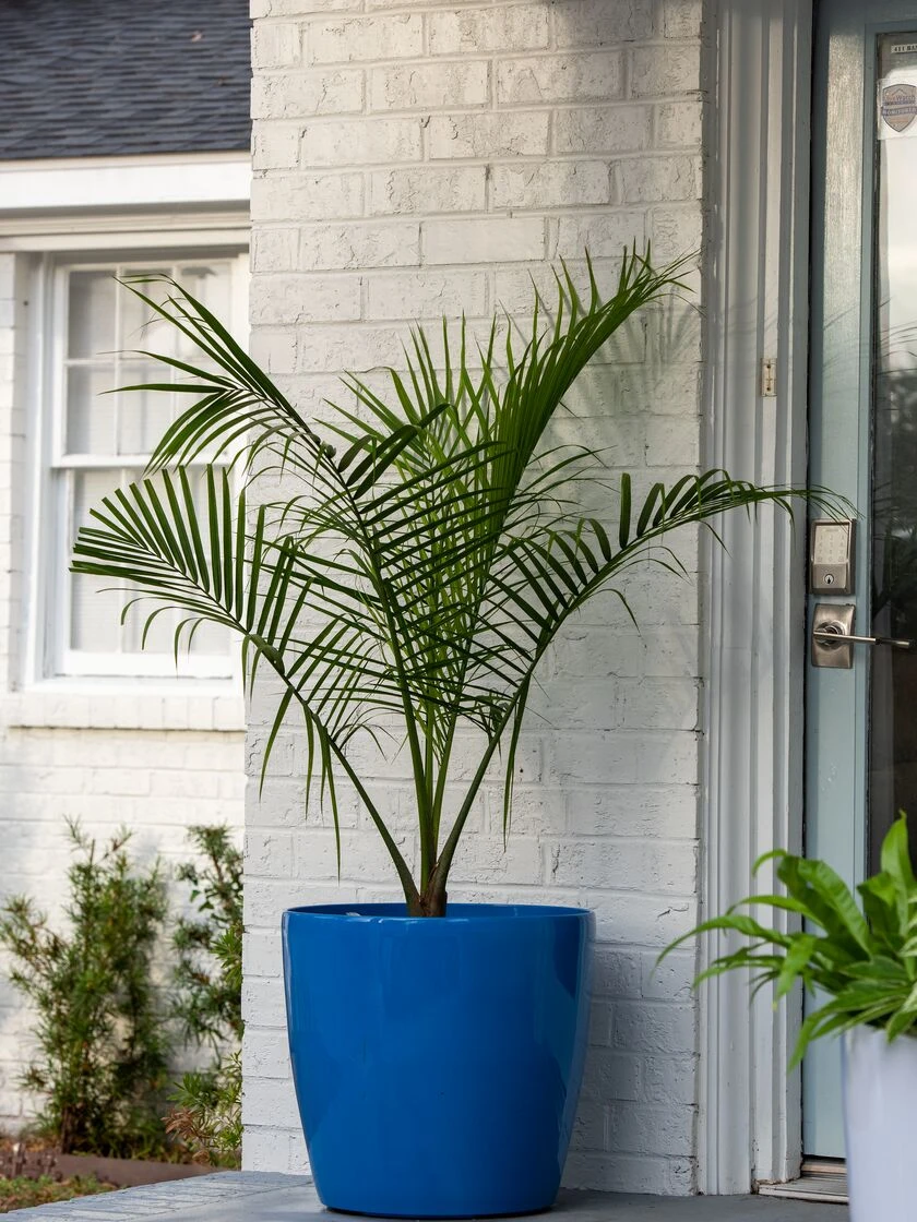 Viva Round Self-Watering Rolling Planter, 20" Diameter, Set Of 2 - Image 3