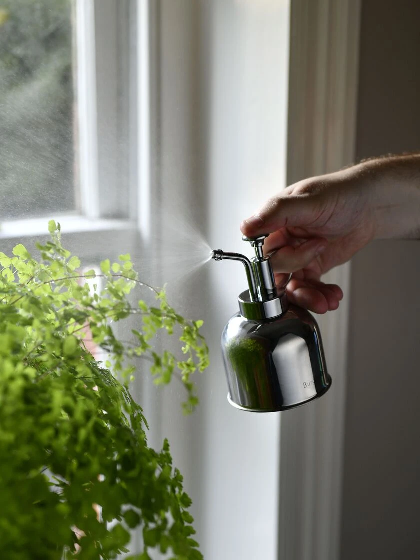 Indoor Plant Mister - Image 5