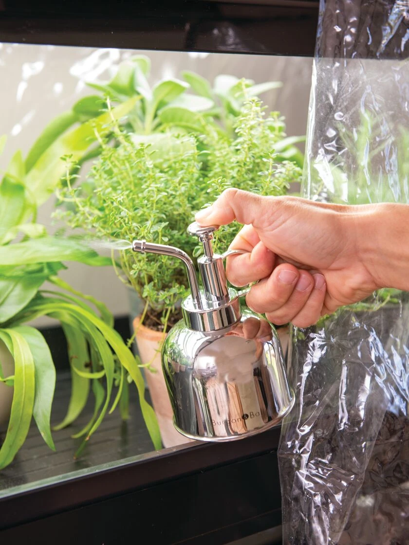 Indoor Plant Mister - Image 2