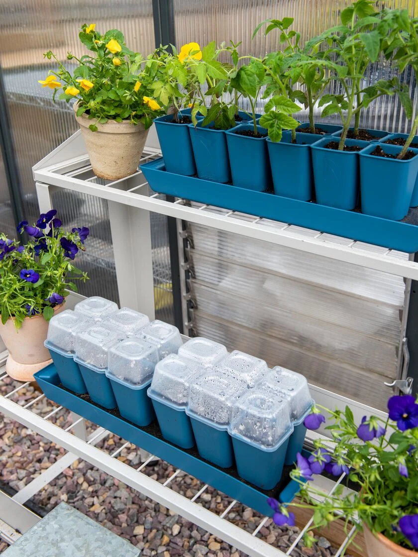 Gardener's BestĀ® Humidity Dome, Set Of 2 - Image 2