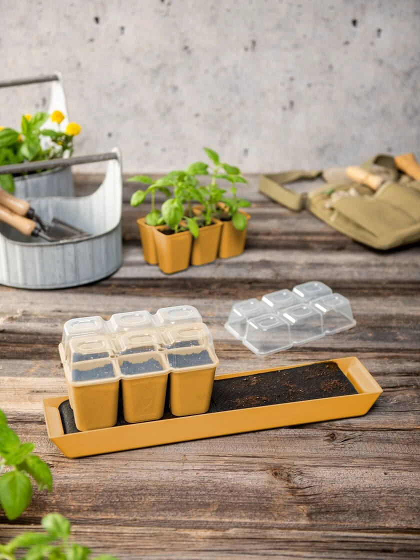 Gardener's BestĀ® Humidity Dome, Set Of 2 - Image 3