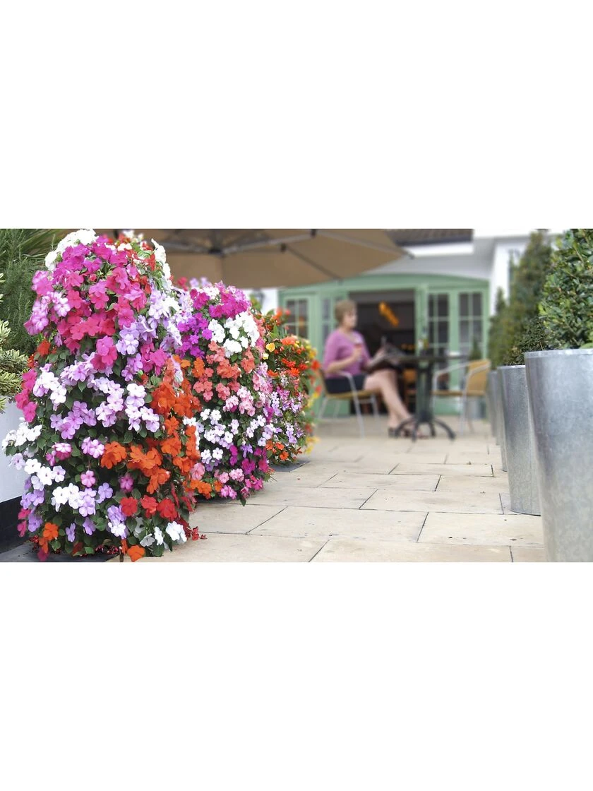 Flower Tower - Image 2