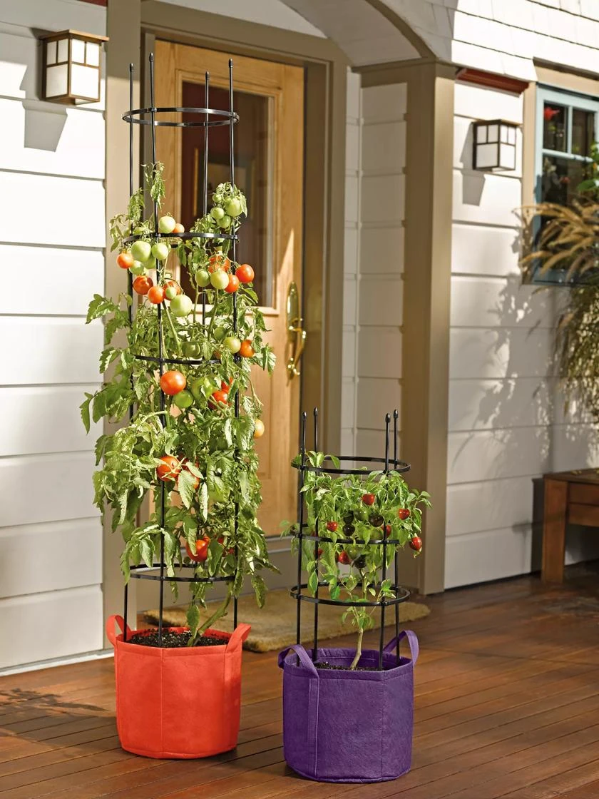 Gardener's Best® Tomato Grow Bag Set - Image 4