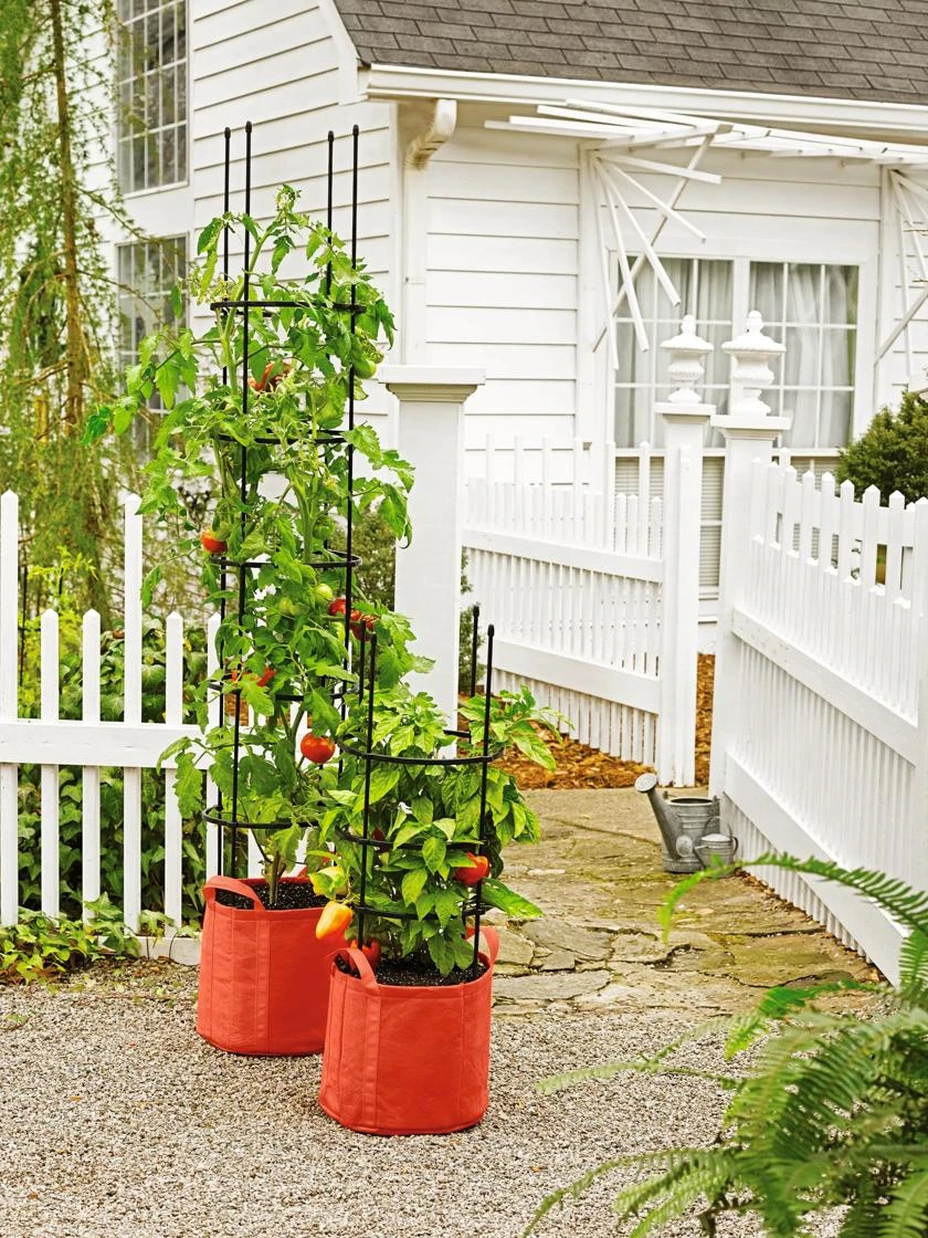 Gardener's Best® Tomato Grow Bag Set - Image 3