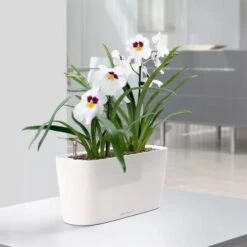 Lechuza® Delta Self-Watering Windowsill Planters