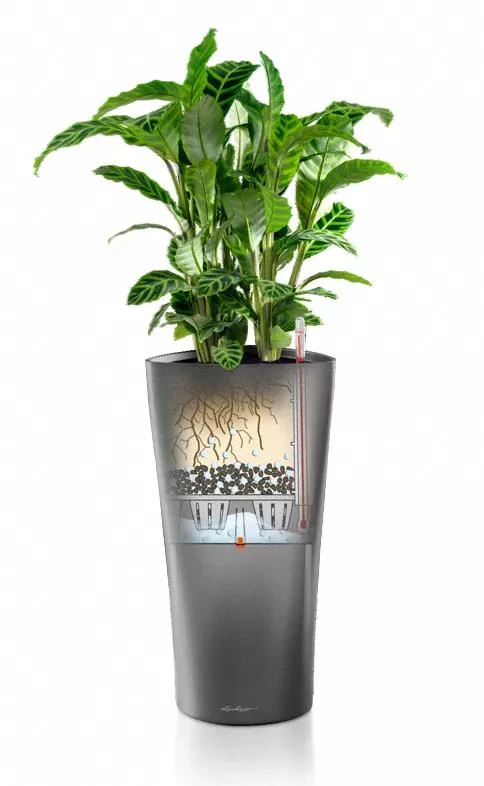 Lechuza® Delta Premium Self-Watering Planters - Image 3