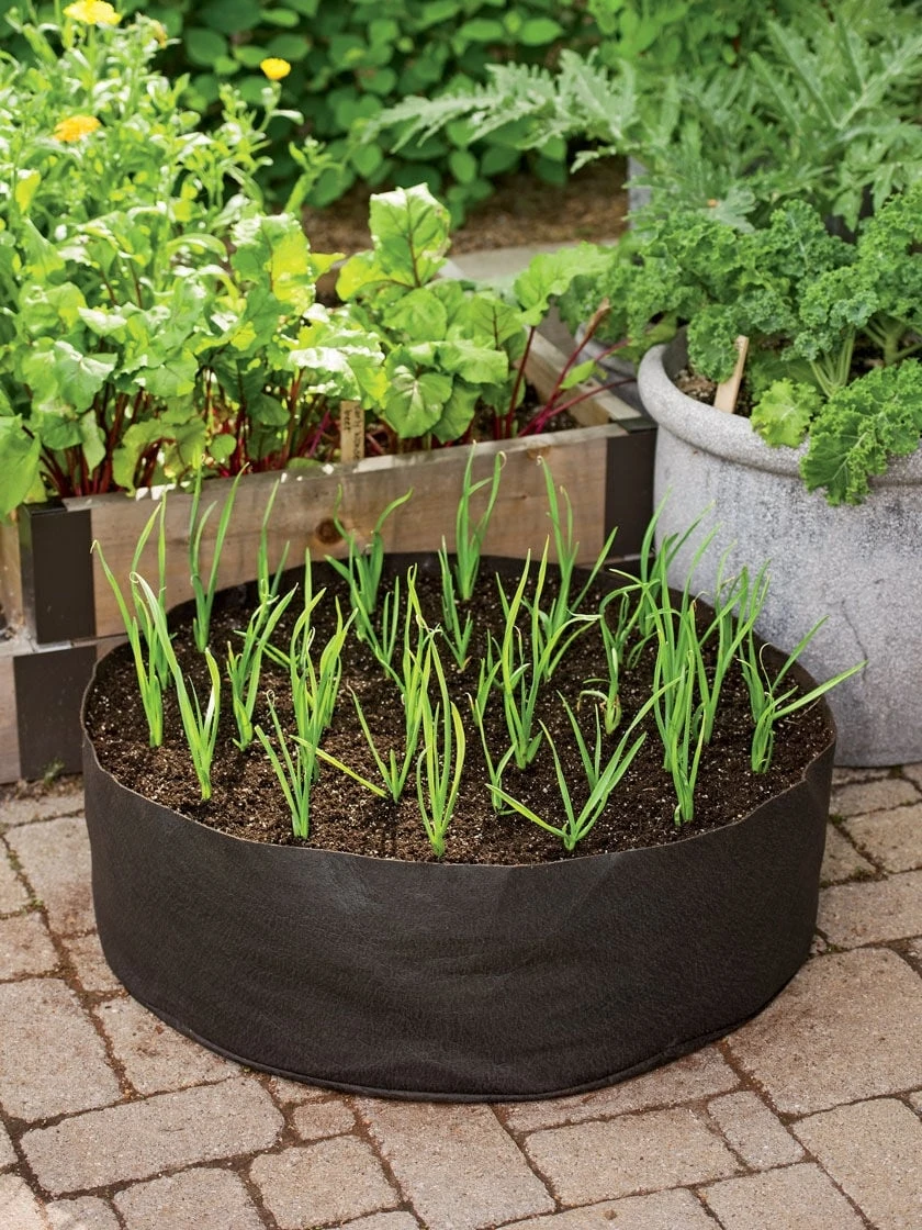 Garlic Grow Bag Kit