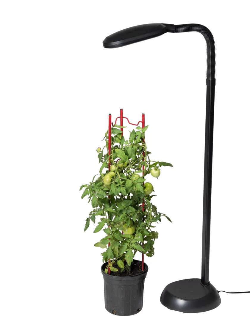 Agrobrite Floor Plant Lamp - Image 2