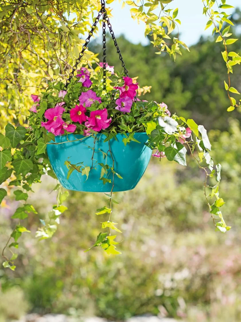 Viva Self-Watering Hanging Basket, 11" Diameter - Image 2
