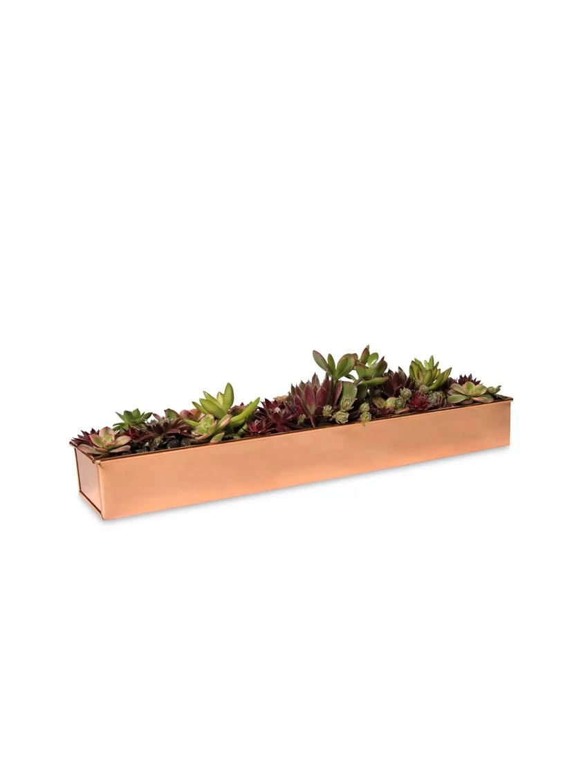 Rectangular Copper Plant Tray, 18"x4" - Image 3