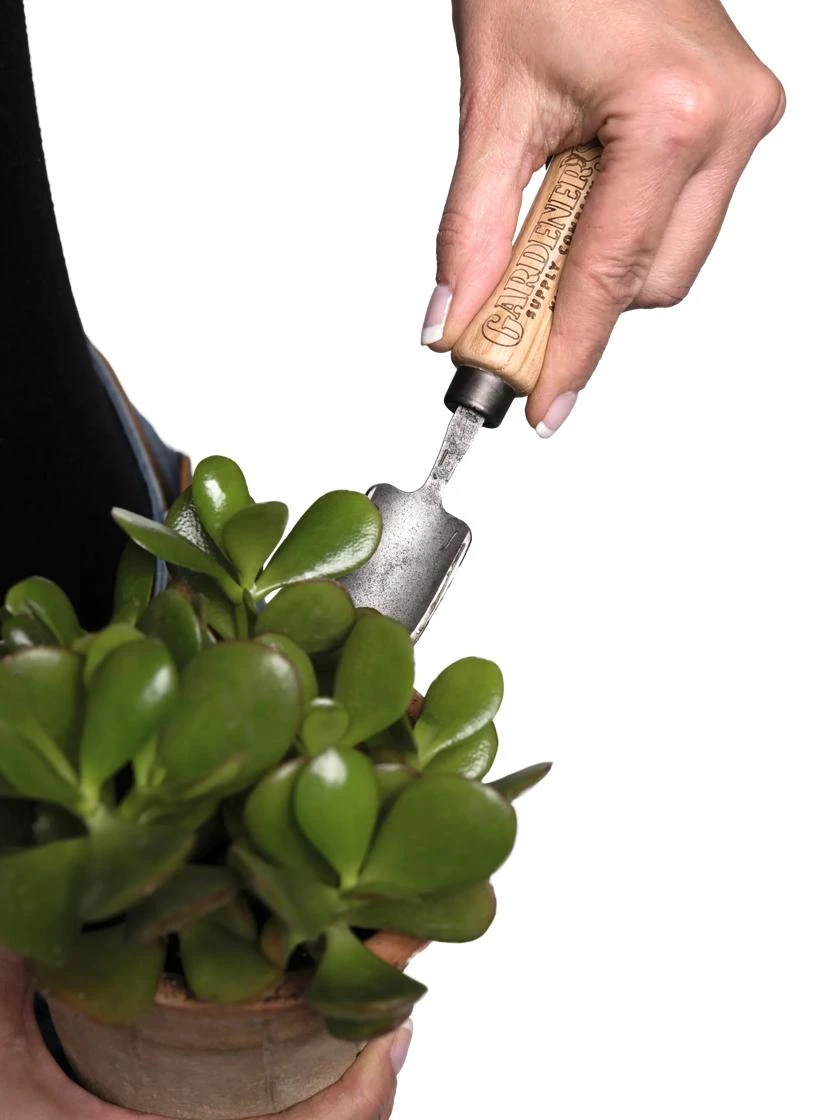 Gardener's Lifetime Mini Trowel - Image 3