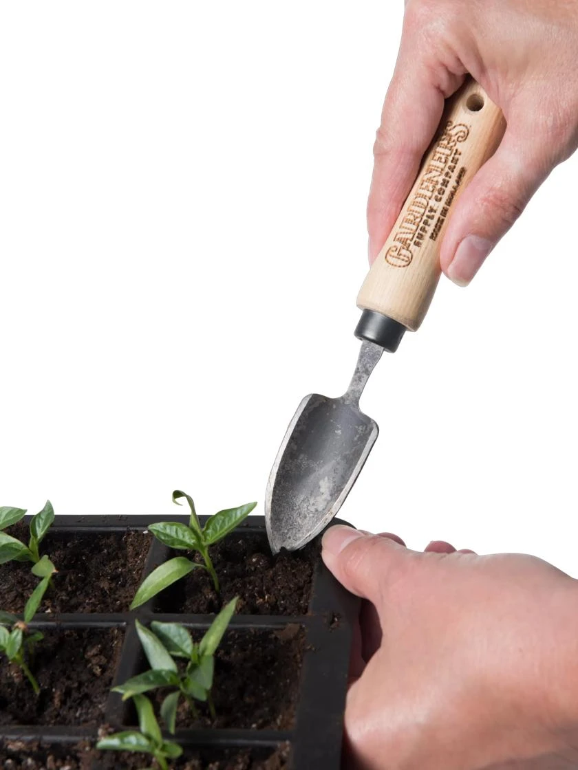 Gardener's Lifetime Mini Trowel - Image 4