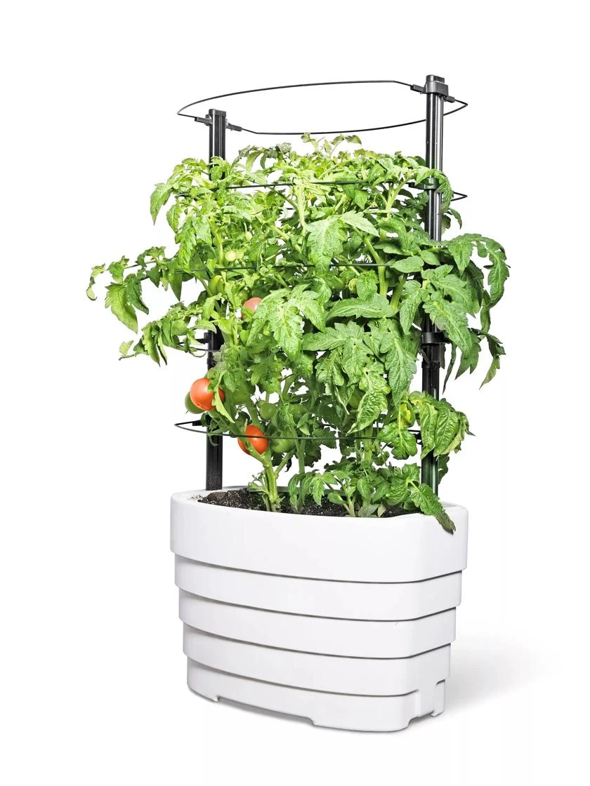 Gardener's RevolutionĀ® Classic Tomato Extension - Image 2