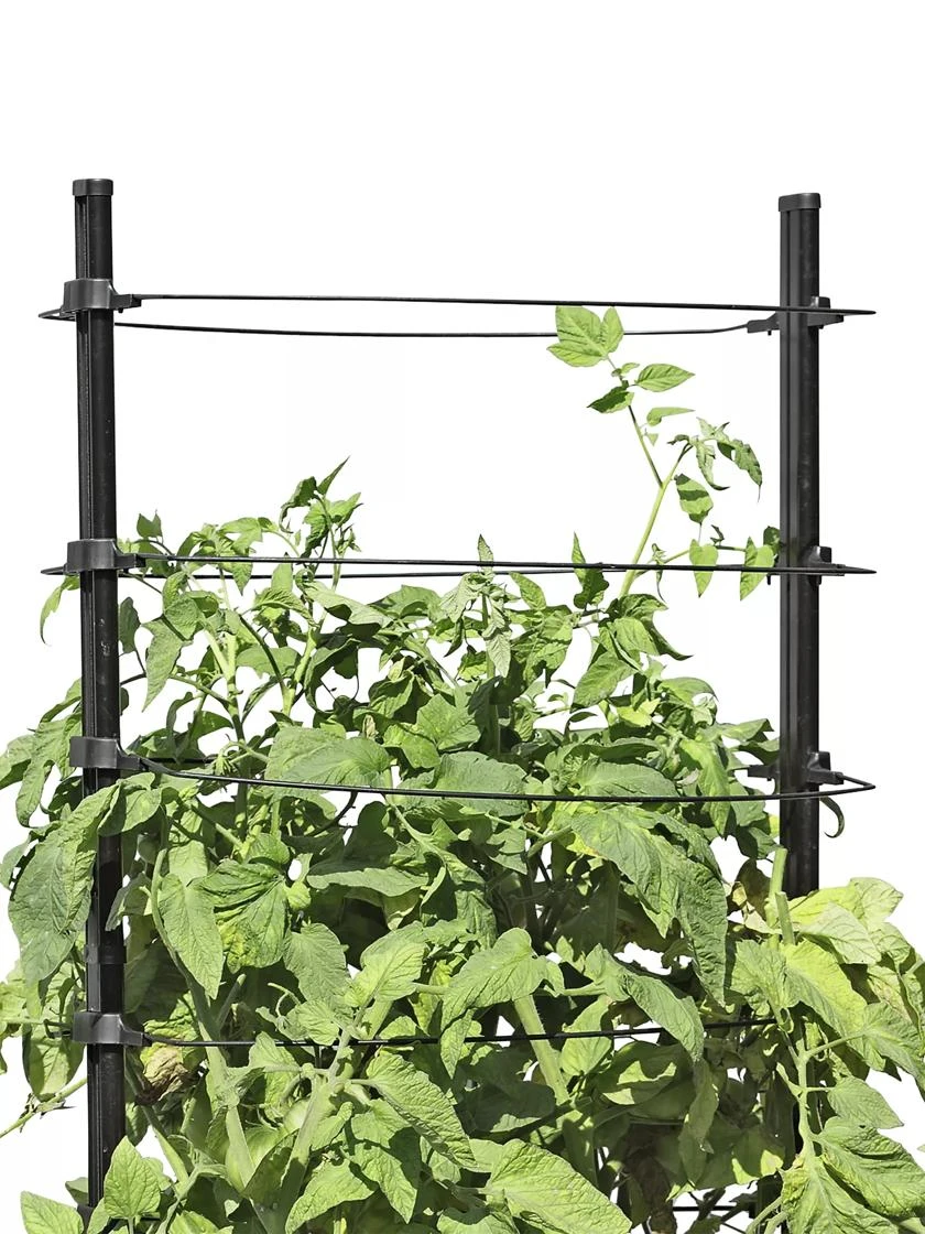 Gardener's RevolutionĀ® Classic Tomato Extension