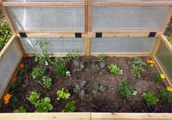 Garden In A Box Cedar Raised Bed With Greenhouse, 3' X 6' - Image 3