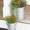 Galvanized Rim Planters