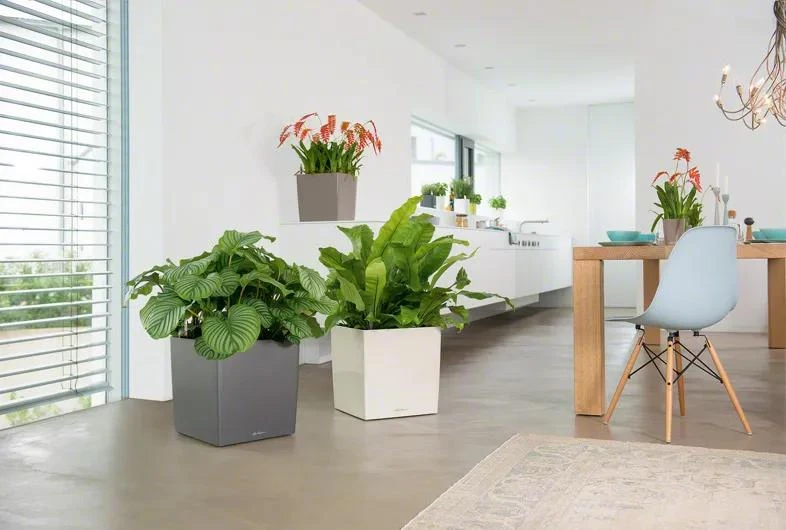 Lechuza® Cube Premium Planters - Image 3