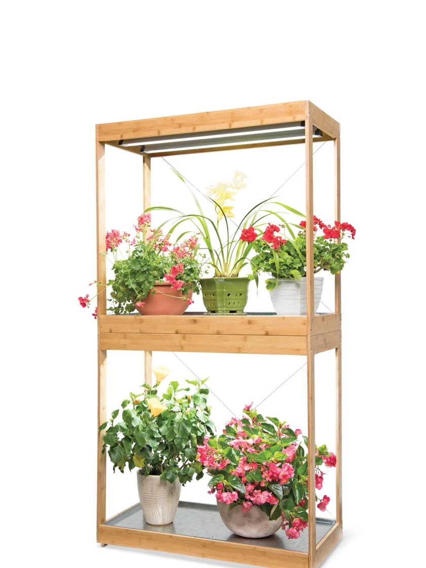 Bamboo Display LED Grow Light Garden - Image 6