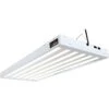 AgroBrite T5 324W 6-Tube Fixture With Bulbs, 4'