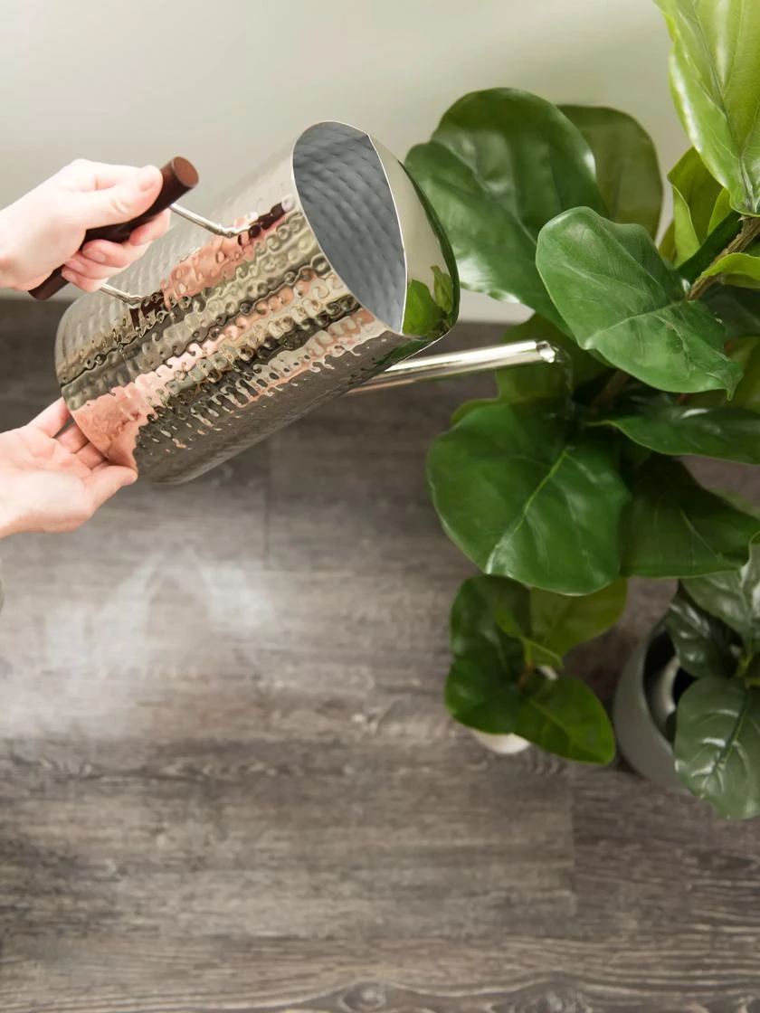 Stainless Steel Watering Can - Image 3