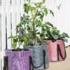 Reinforced Colorful Grow Bags