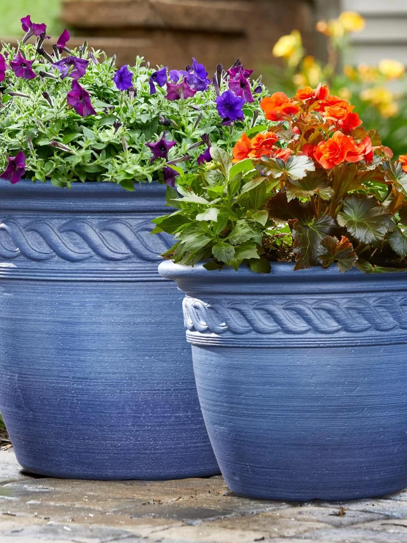Cortina Self-Watering Planters - Image 7