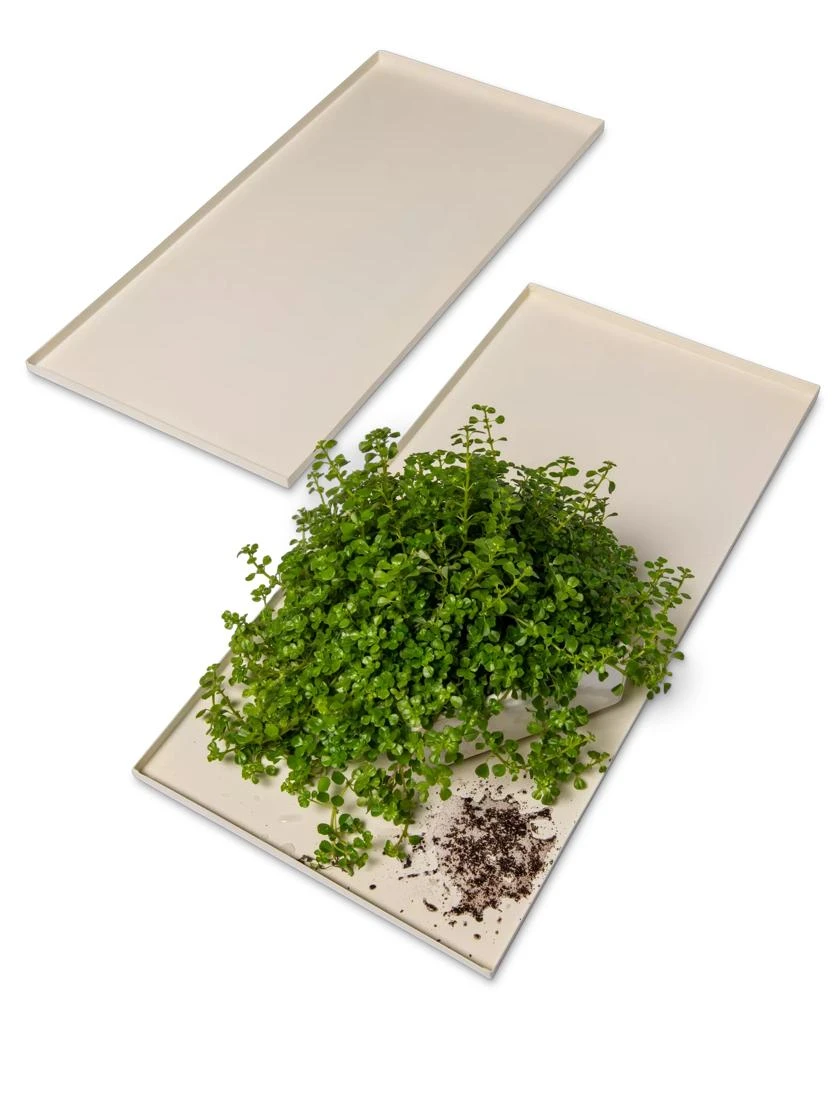 Oslo Grow Light Garden Trays, Set Of 2 - Image 3