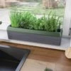 Provence Self-Watering Herb Planter