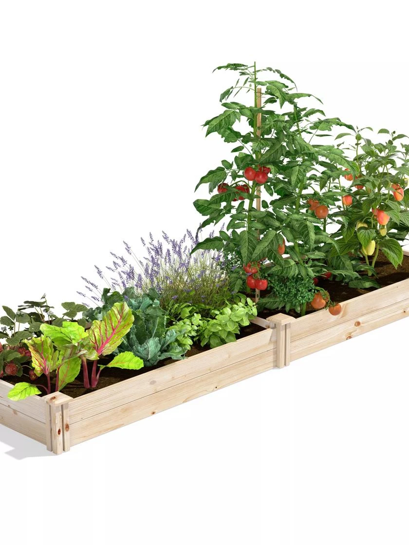 Pine Raised Garden Bed, 2' X 8' - Image 4