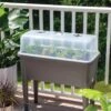 Self-Watering Standing Salad Planter With Cloche
