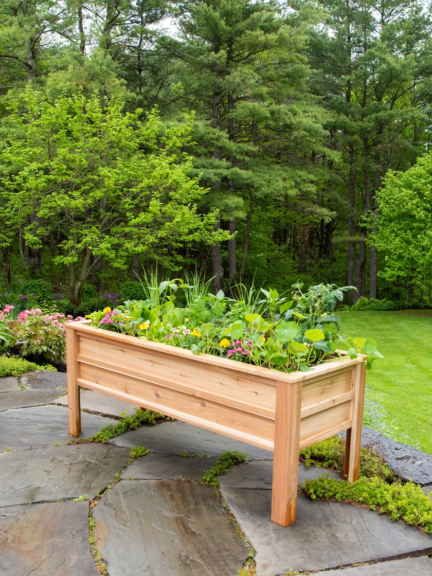 Craftsbury Elevated Raised Beds - Image 2
