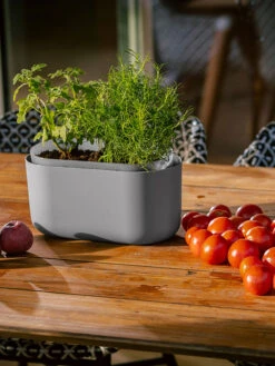 Tolita Recycled Self-Watering Flower Box