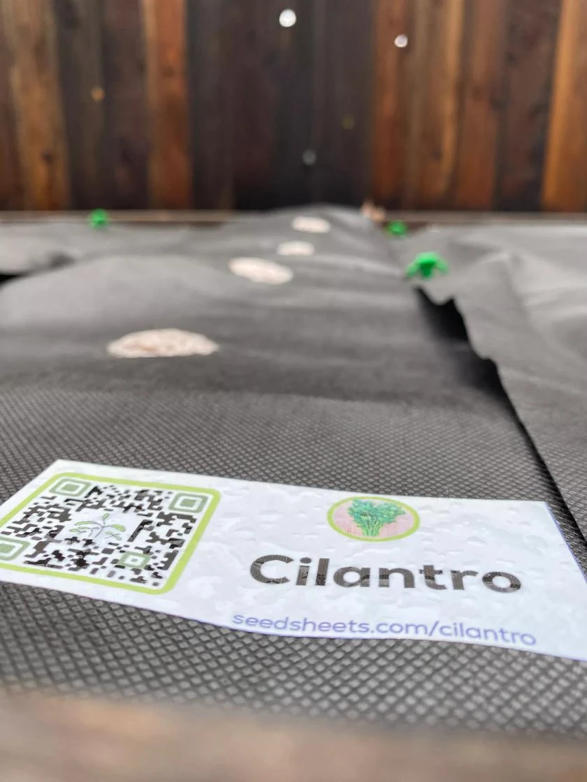 SeedSheets Organic Vegetable Garden, Spicy Sinola Salsa, 4' X 8'