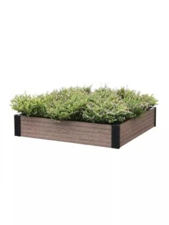 Essential Raised Garden Bed
